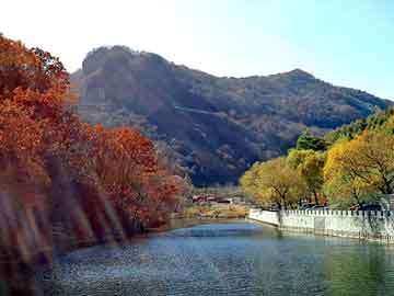 大三巴一肖二码最准，平陆野猪